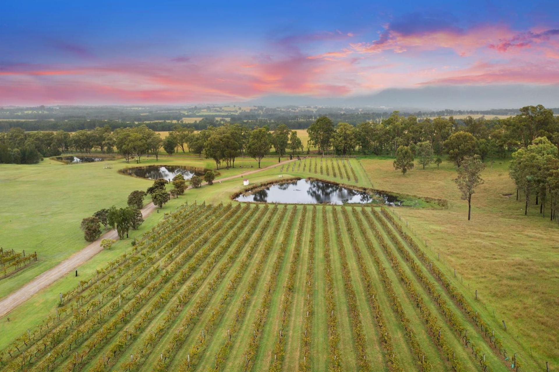 Villa Bracken Ridge Vineyard The Entire Estate à Rothbury Extérieur photo