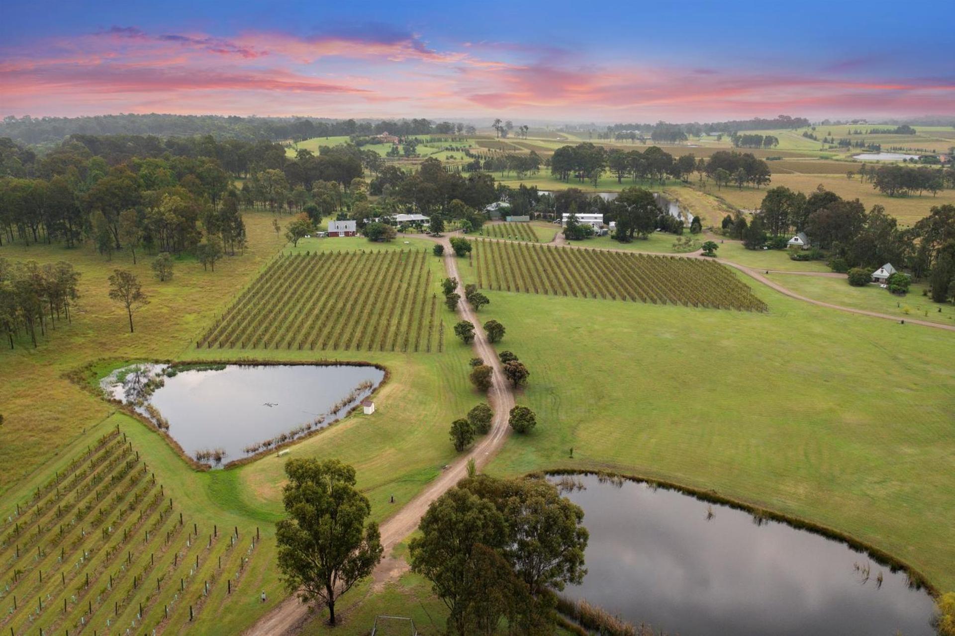 Villa Bracken Ridge Vineyard The Entire Estate à Rothbury Extérieur photo